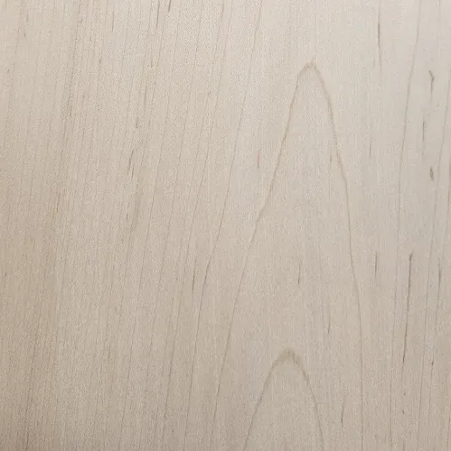 Select White Maple grain